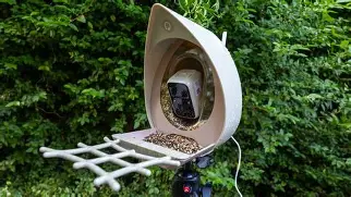Peckperk Smart Bird Feeder Camera First Look: Unboxing and Impressions
